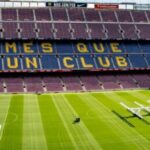 Photo by Paul Steiner on Unsplash