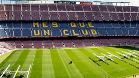 Photo by Paul Steiner on Unsplash